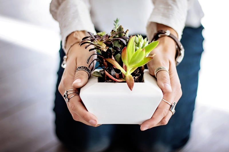 Teacup Planter